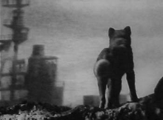 映画「太平洋奇跡の作戦 キスカ」視聴